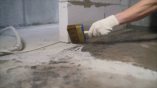 SJ Waterproofing Pros Waterproofing coverage map for Alma, GA and surrounding area